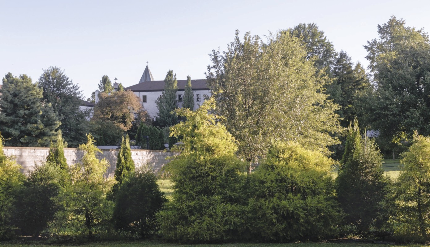 Trees and morning light next to the monks' garden at the Abbey of Gethsemani in Kentucky.