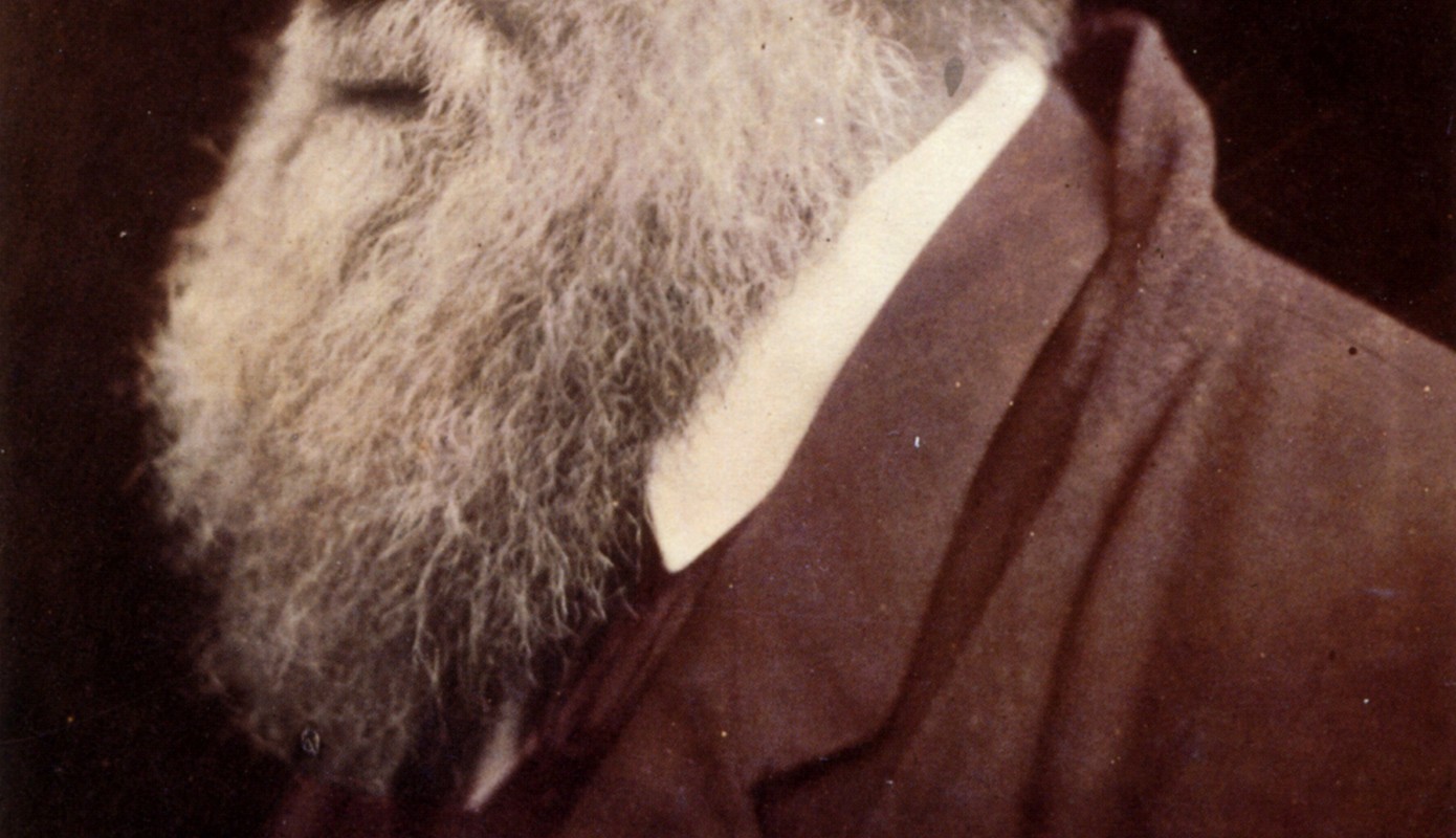 Charles Darwin’s beard: Detail from a photograph by Julia Margaret Cameron (1868)
